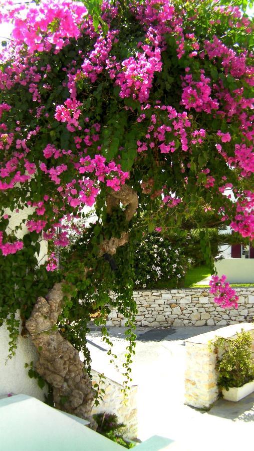 Astoria Paros Apartment Науса Екстериор снимка